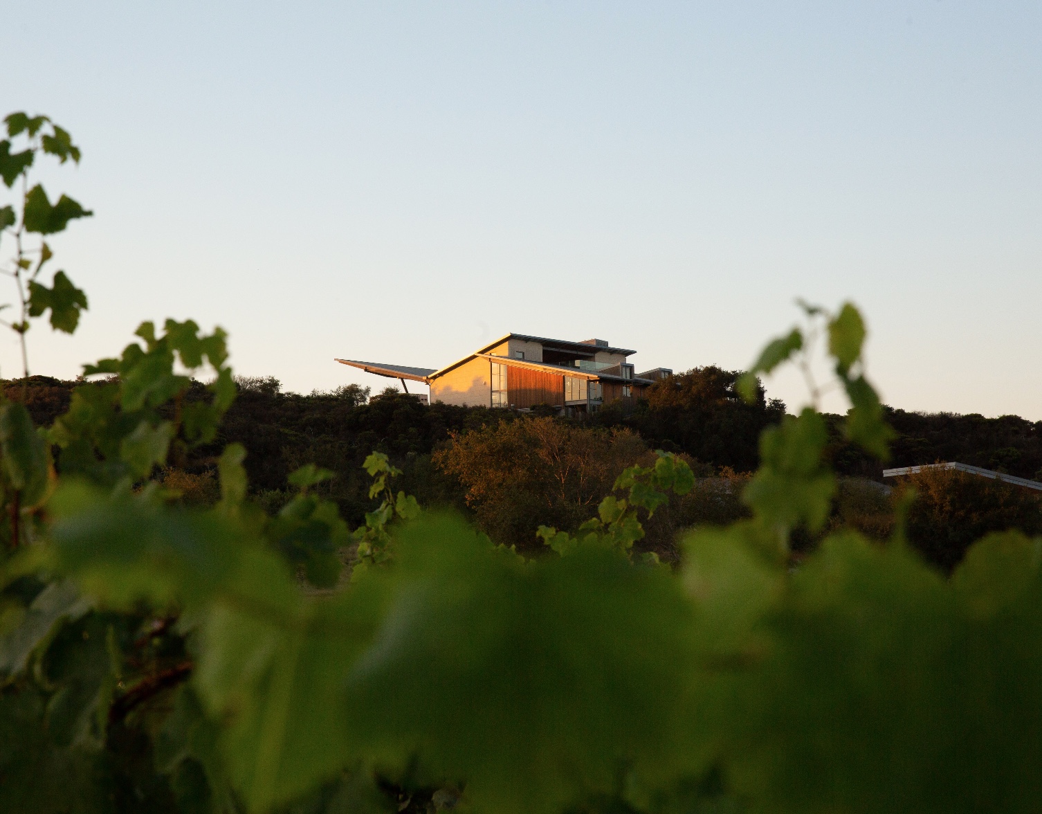 Winery on top of a hill