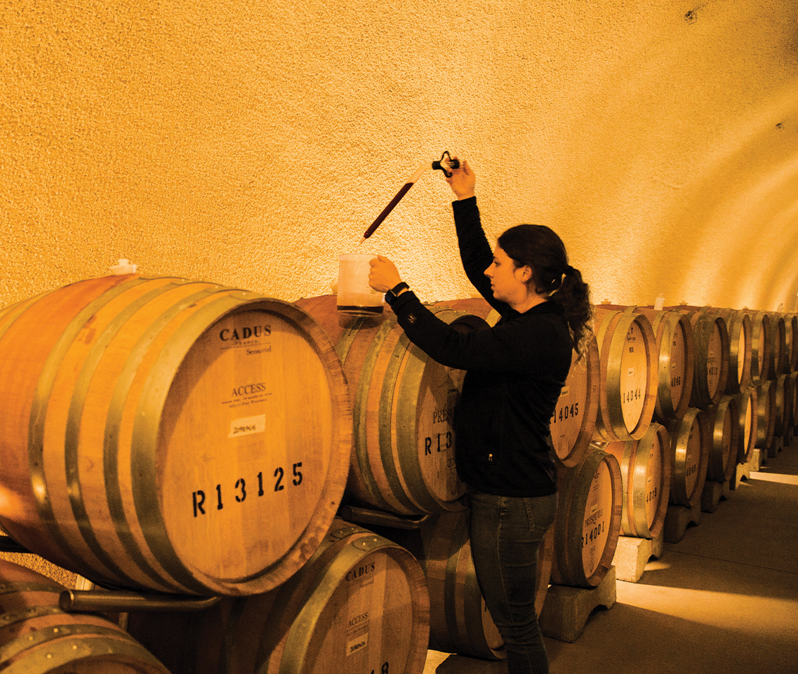 Anna Murphy working in the wine cave