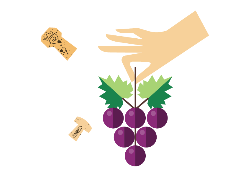 Festival of Forgotten grapes